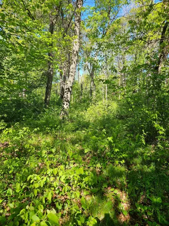 $49,900 | Tbd Lot 49-blk 1 Tbd Drive, Breezy Point, MN 56472