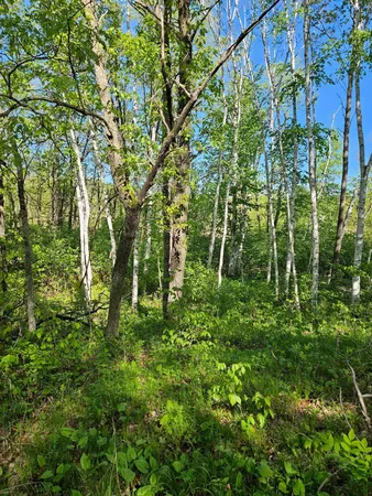 $49,900 | Tbd Lot 49-blk 1 Tbd Drive, Breezy Point, MN 56472