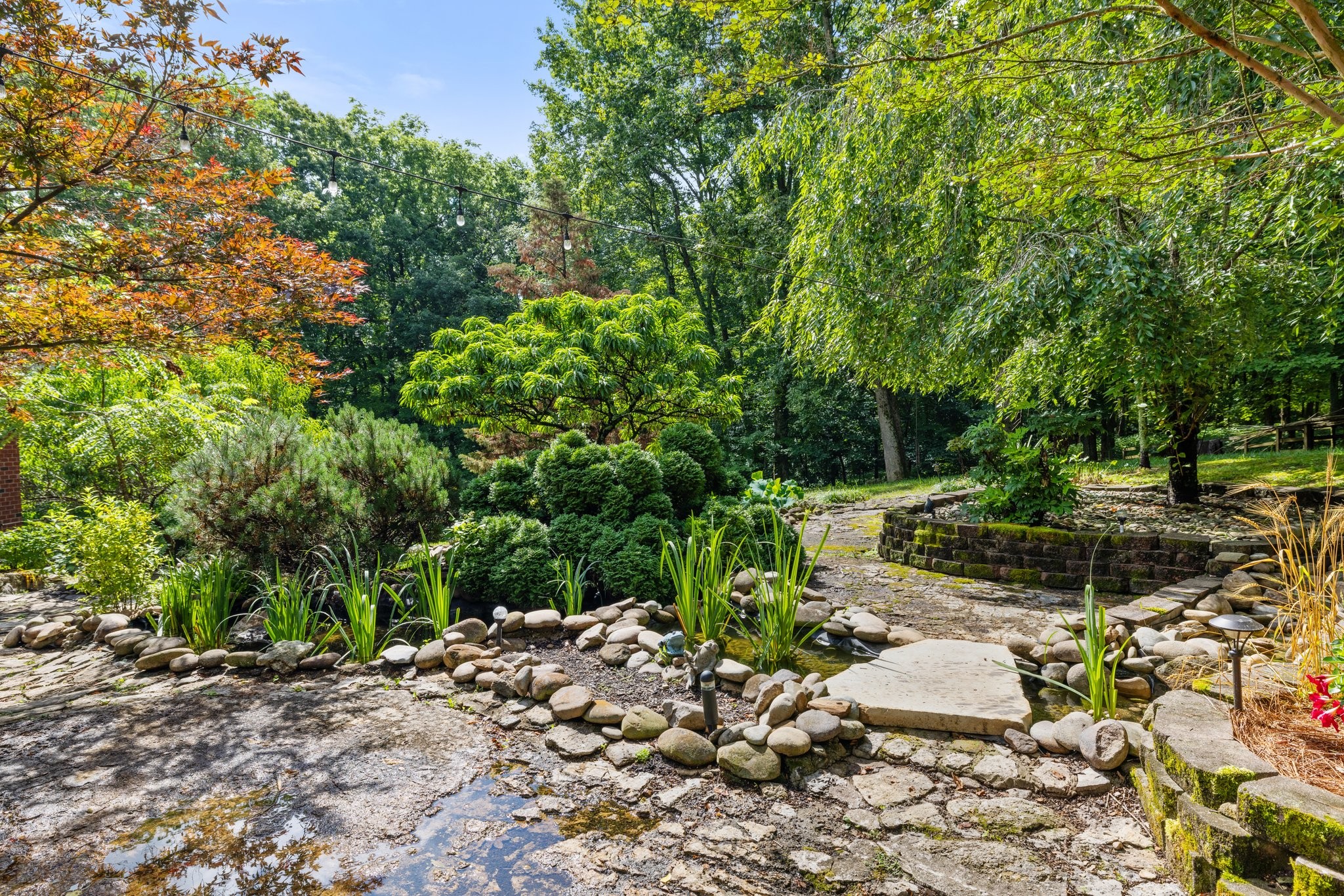 5375 Murfreesboro Road College Grove, TN 37046 - Photo 56 of 70