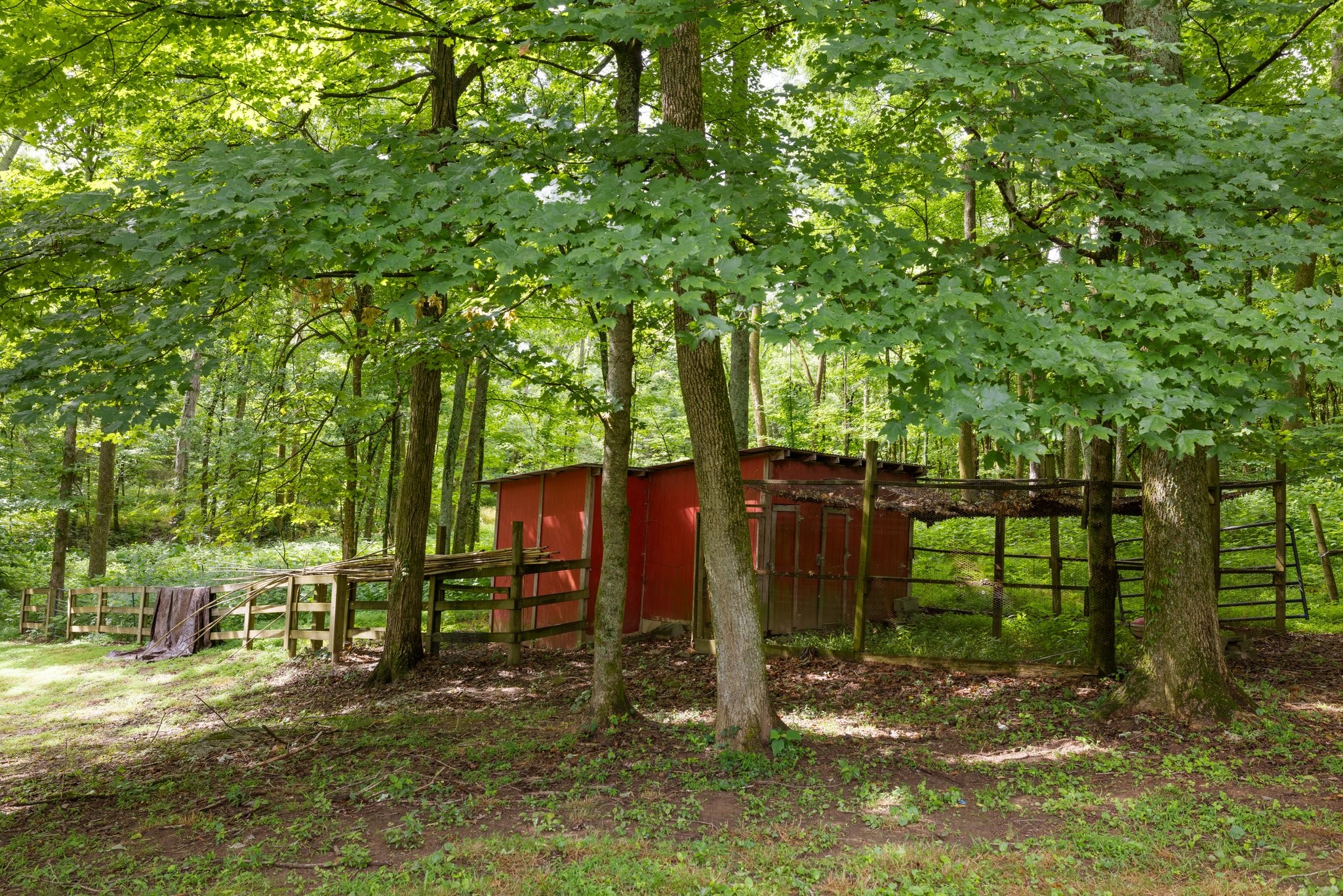 5375 Murfreesboro Road College Grove, TN 37046 - Photo 68 of 70 a view of a back yard