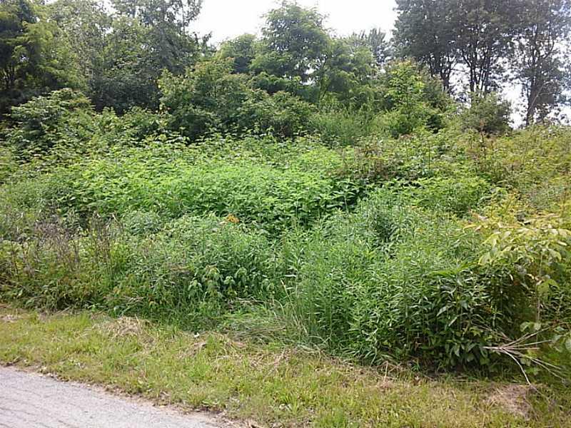Lot #1 Sohn Road Aliquippa, PA 15001 - Photo 3 of 3 Land/Lot.
