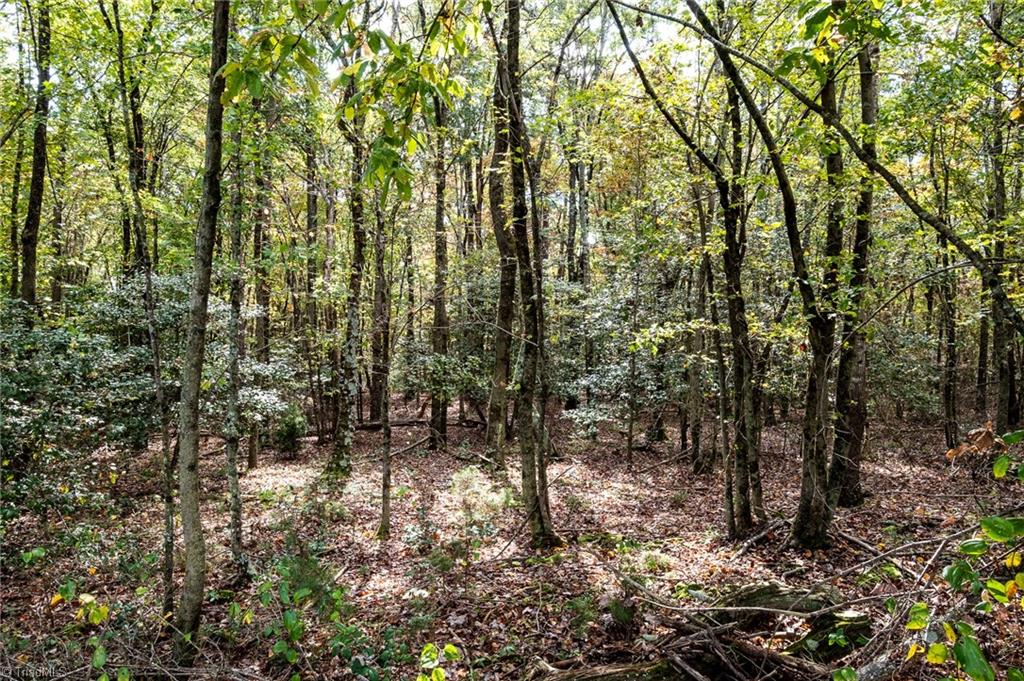 872 Benham Church Road Elkin, NC 28621 - Photo 13 of 30 Property is comprised of some cleared and mostly wooded land.