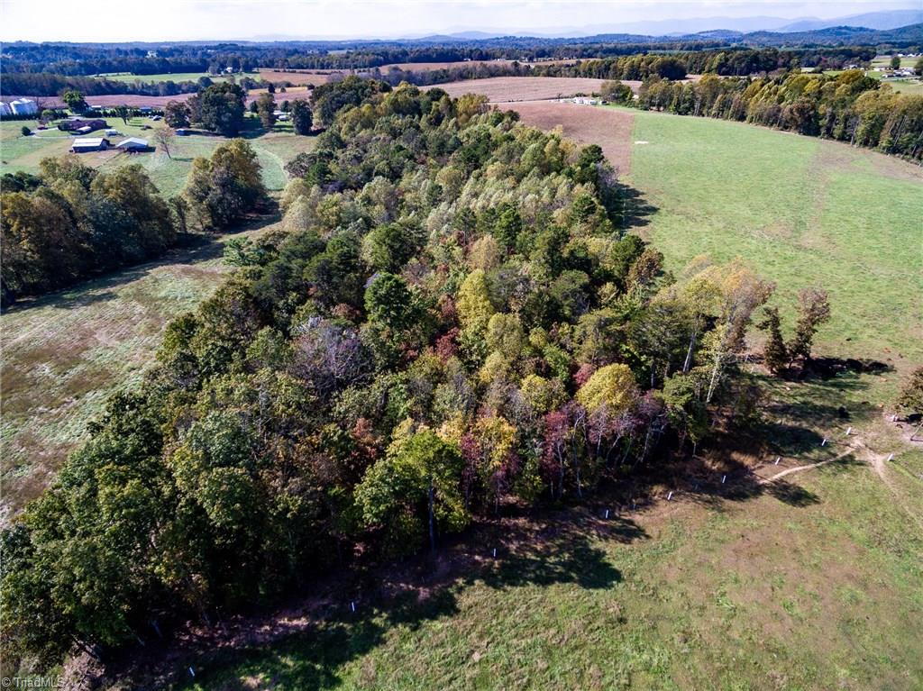872 Benham Church Road Elkin, NC 28621 - Photo 29 of 30 Wooded area of property.