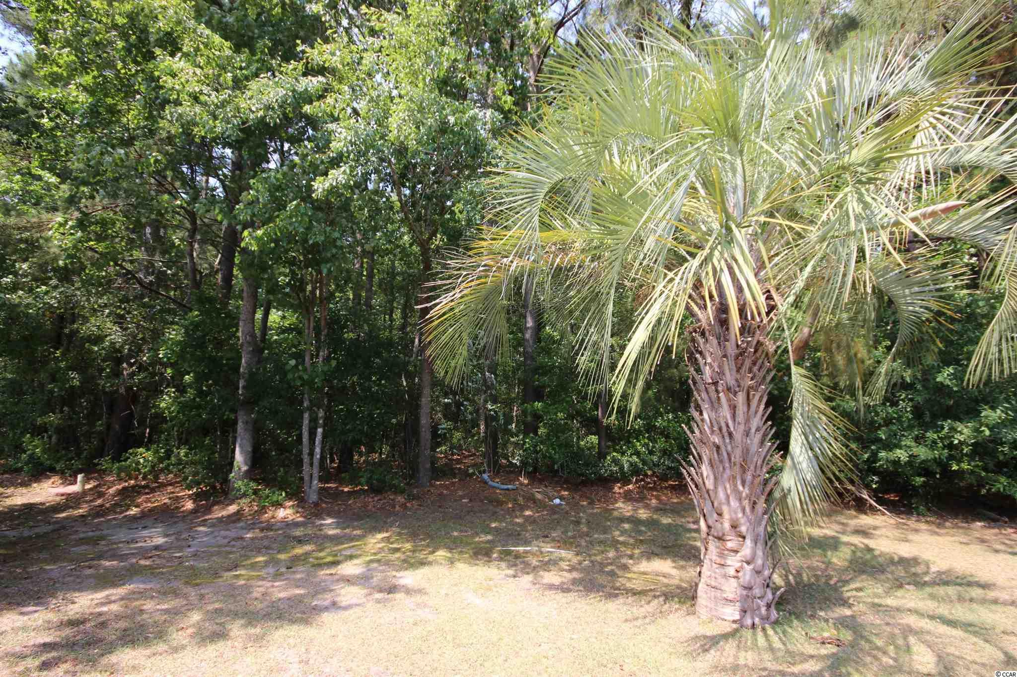 1802 Rawlins Court Murrells Inlet, SC 29576 - Photo 16 of 26