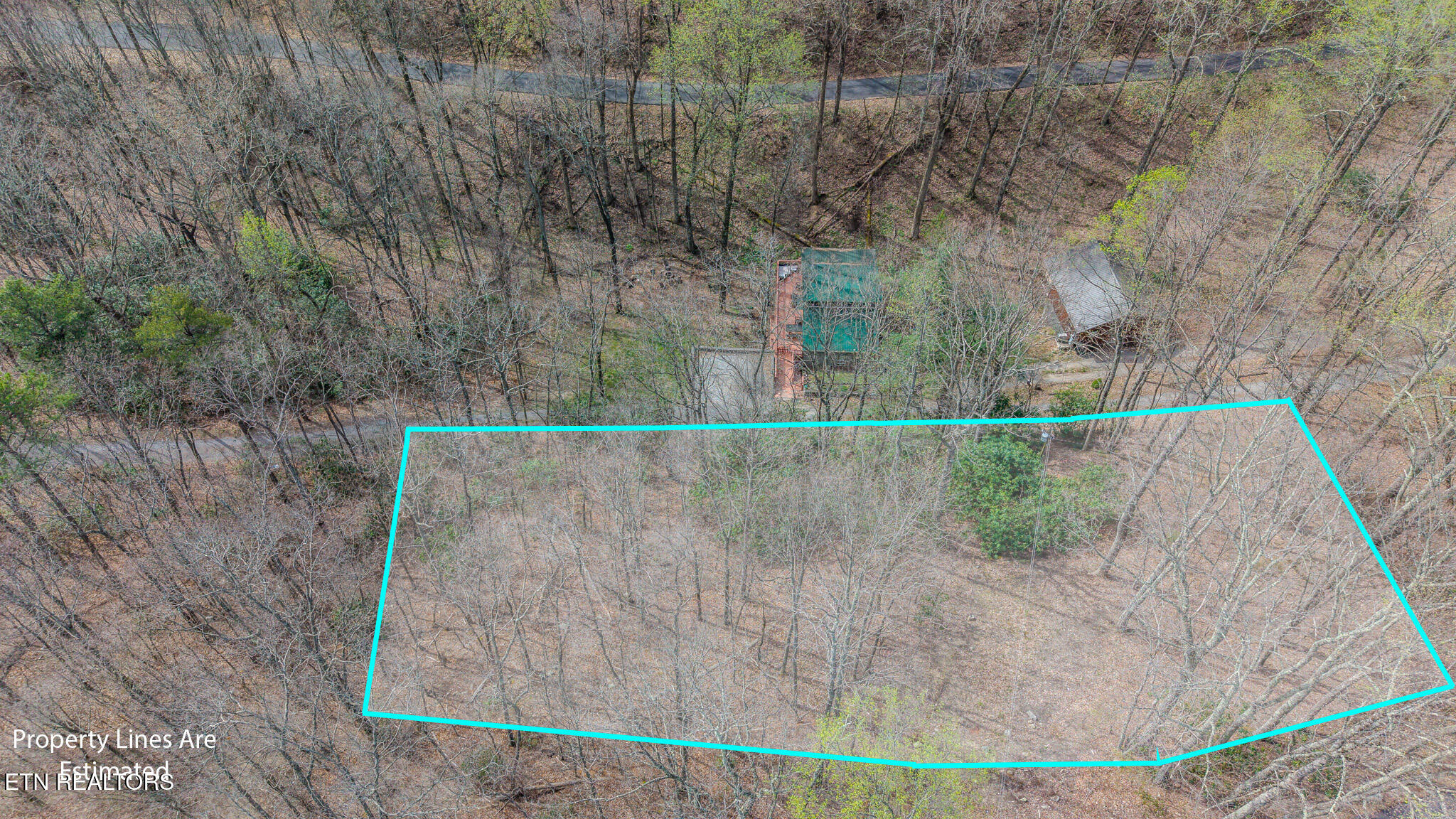 Bluff Mountain Road Sevierville, TN 37876 - Photo 2 of 11 DJI_20260403111402_0972_D