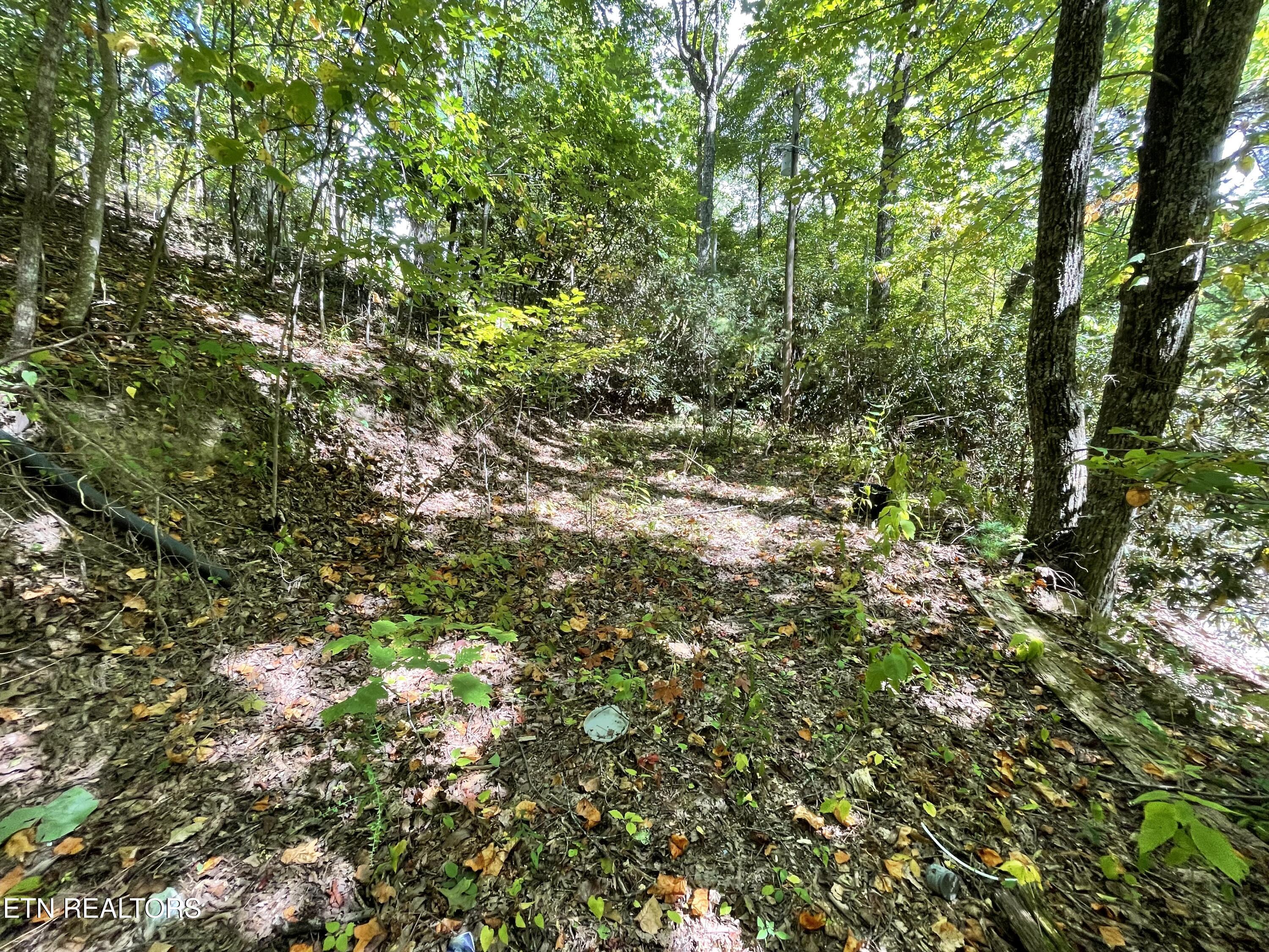 Bluff Mountain Road Sevierville, TN 37876 - Photo 6 of 11 756B046F-D055-401B-82D4-3E0B15CAC17F (1)