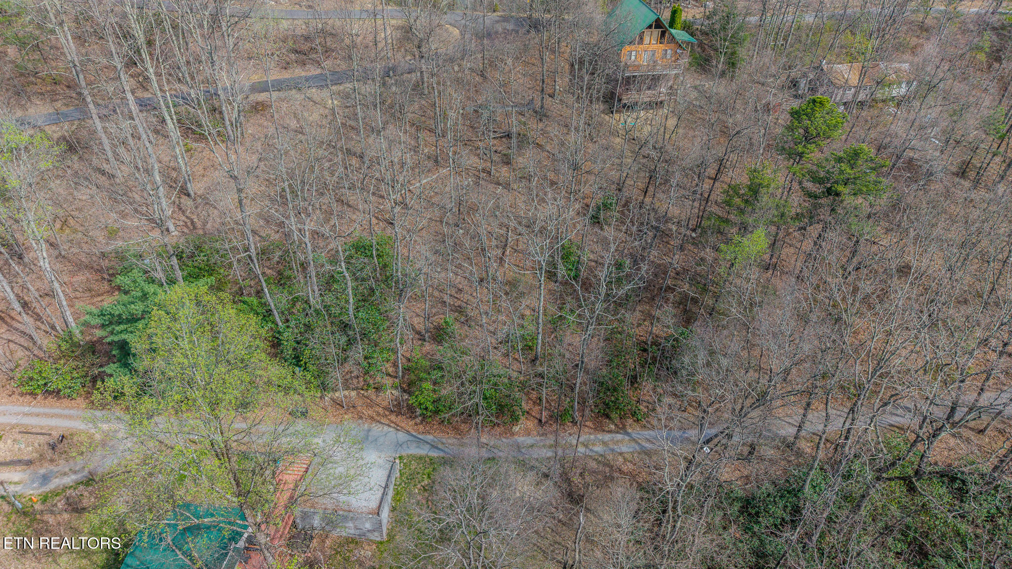 Bluff Mountain Road Sevierville, TN 37876 - Photo 7 of 11 DJI_20260403111341_0971_D