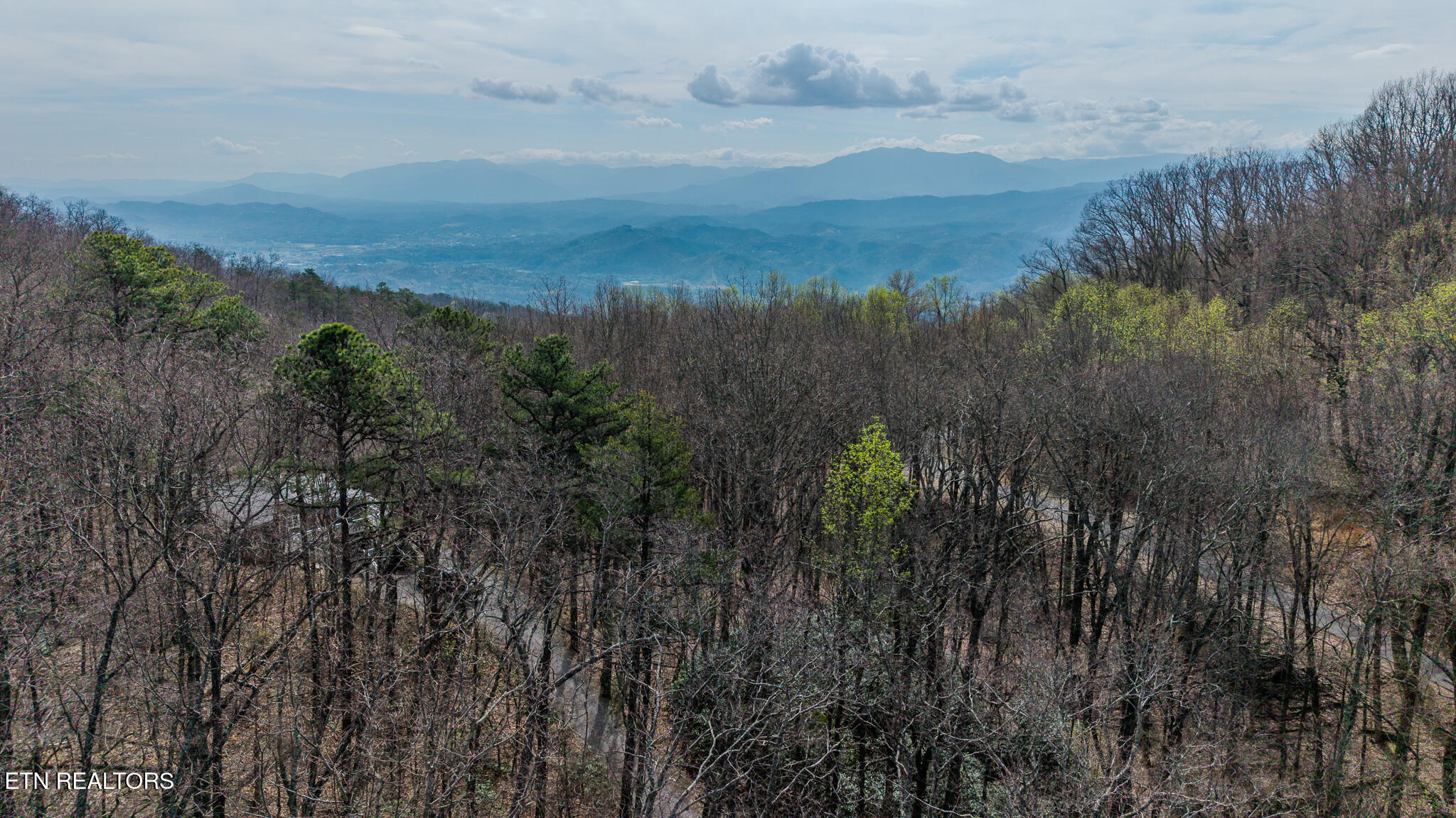 Bluff Mountain Road Sevierville, TN 37876 - Photo 8 of 11 DJI_20260403111416_0973_D