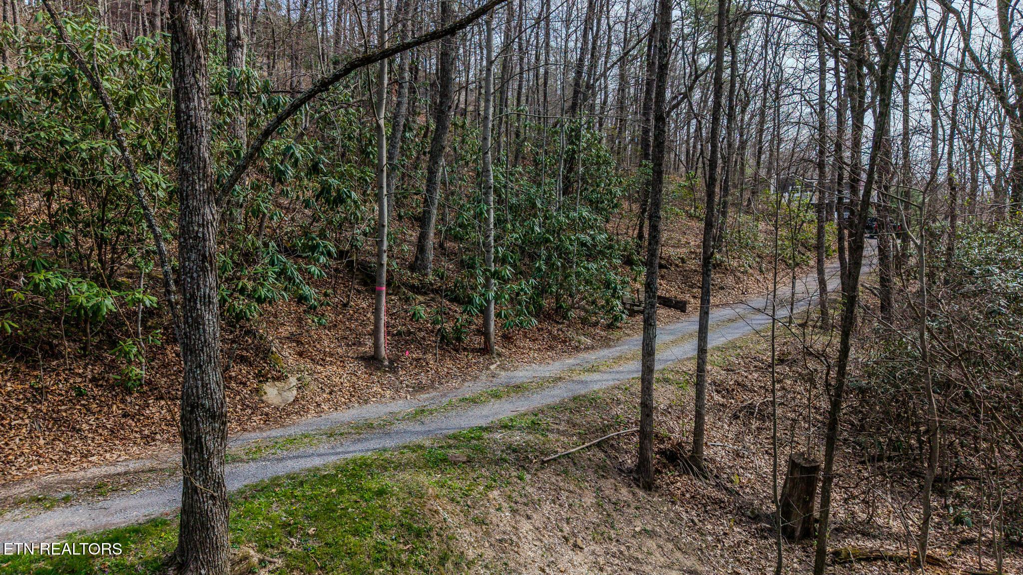 Bluff Mountain Road Sevierville, TN 37876 - Photo 9 of 11 DJI_20260403111454_0976_D