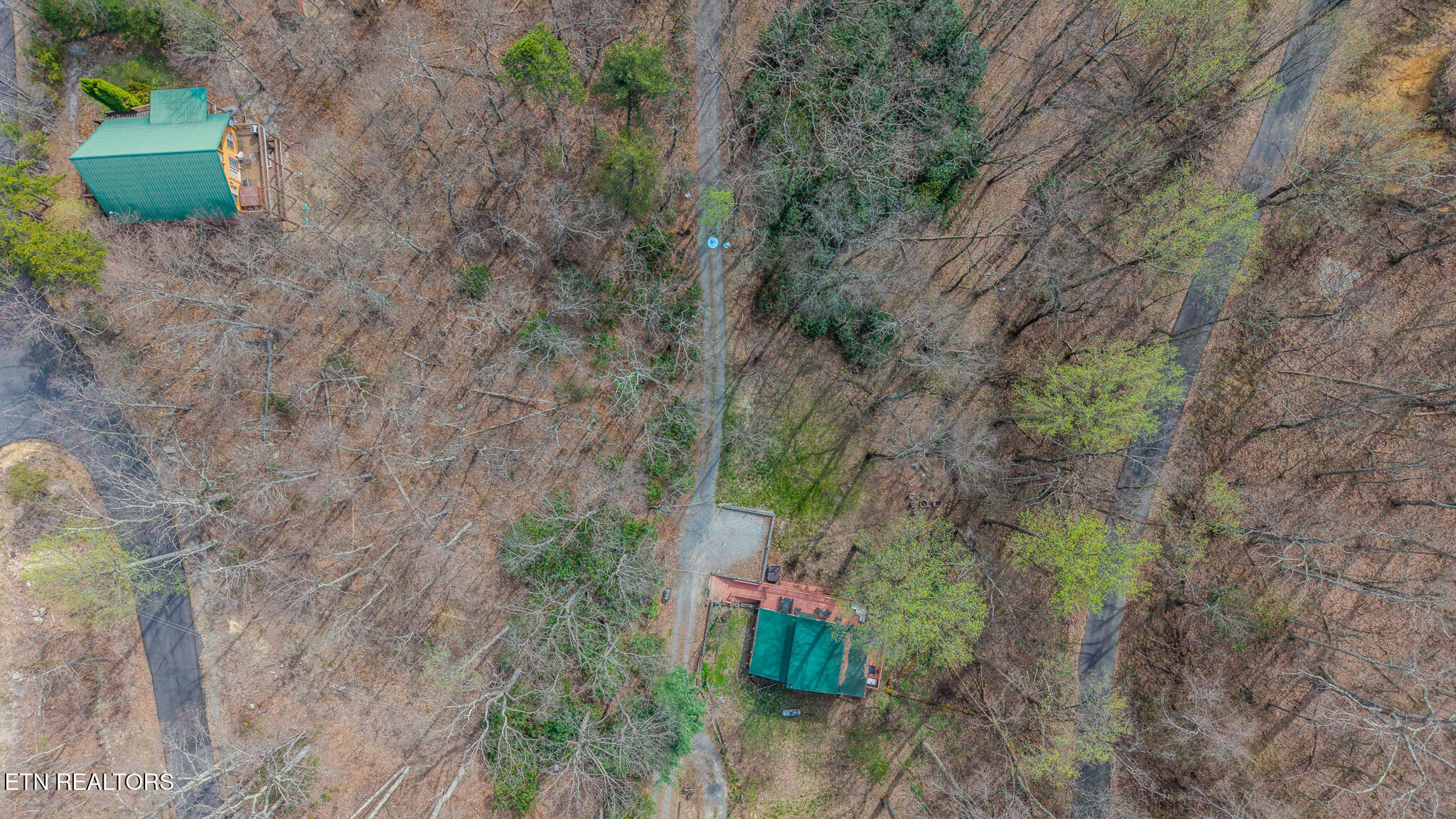 Bluff Mountain Road Sevierville, TN 37876 - Photo 10 of 11 DJI_20260403111527_0977_D