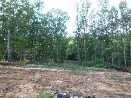 4107 Sioux Road Crossville, TN 38572 - Photo 5 of 21 Additional Photo