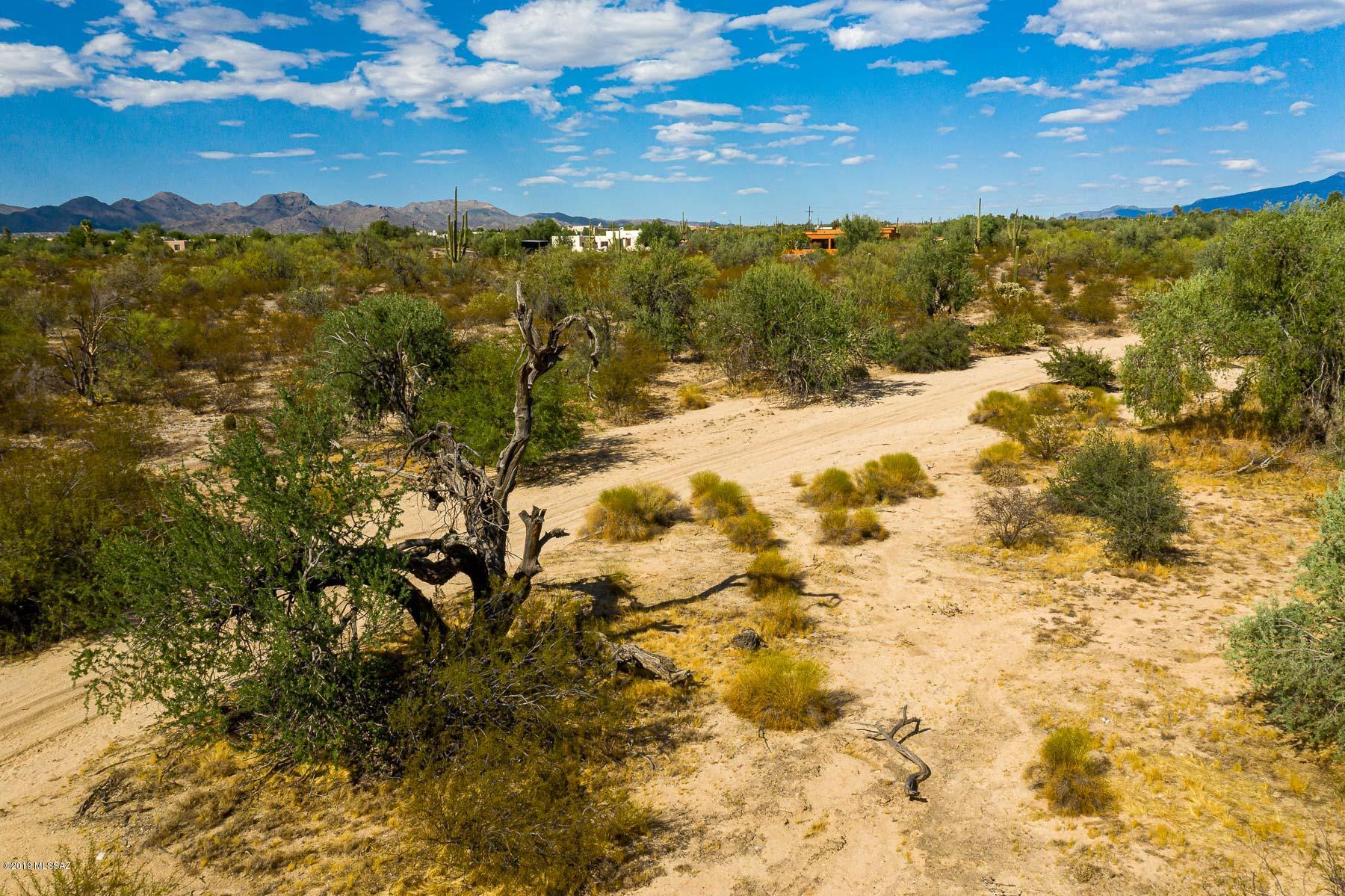 9741 North Blue Bonnet Road Tucson, AZ 85742 - Photo 40 of 46 Gallery Image 40