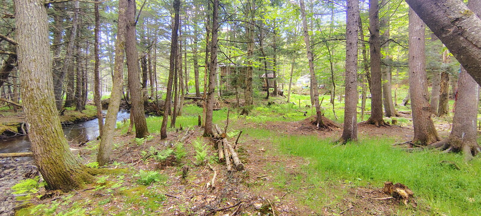463 Clover Mill Road Farmington, ME 04938 - Photo 2 of 26 1000002159(1)