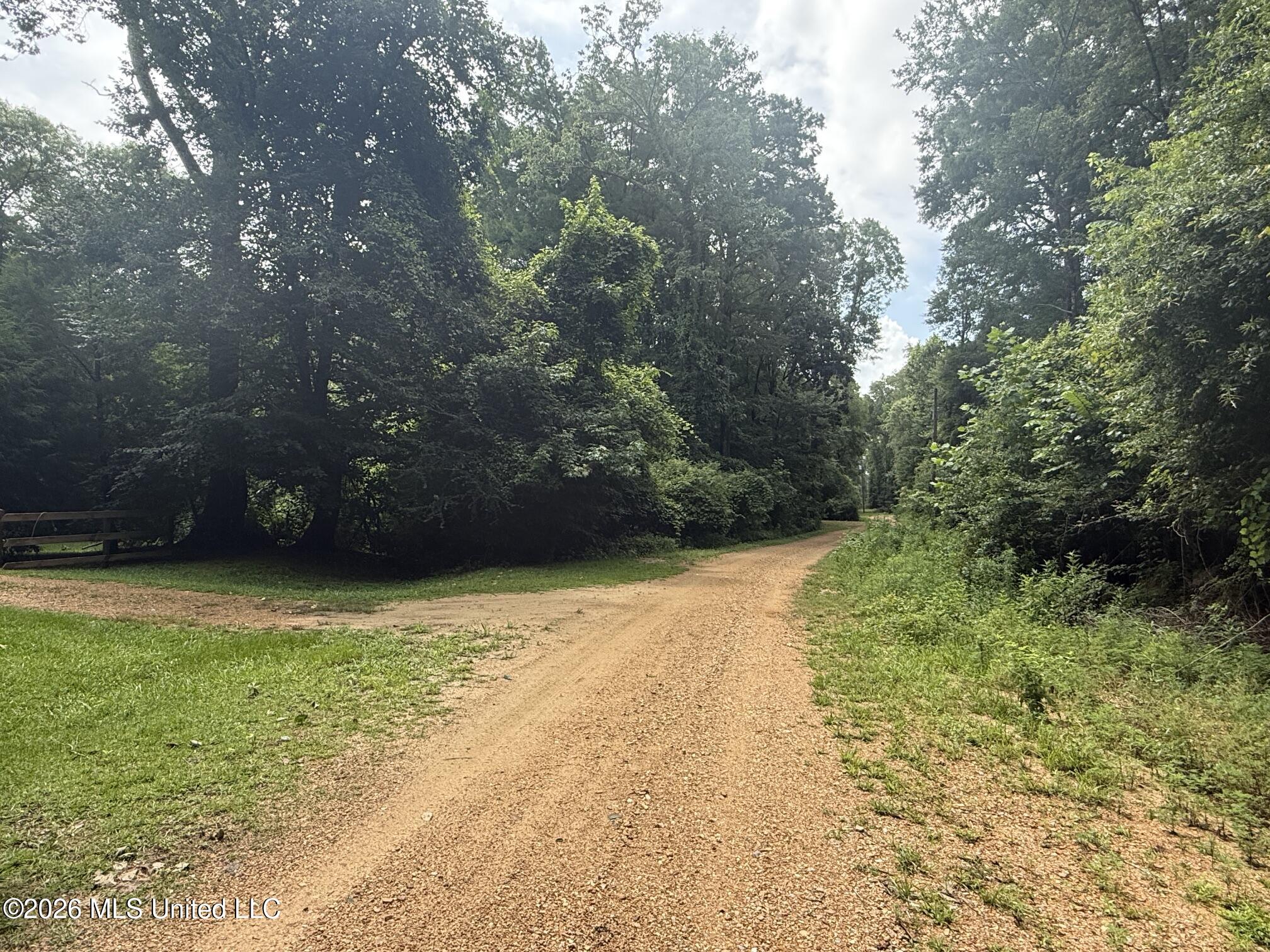 3042 Brandi Road Summit, MS 39666 - Photo 5 of 5 IMG_3475
