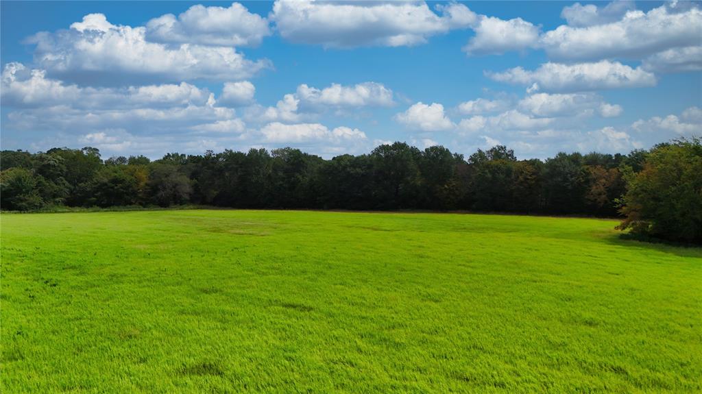 0 St Highway Canton, TX 75103 - Photo 16 of 23 a view of garden with trees