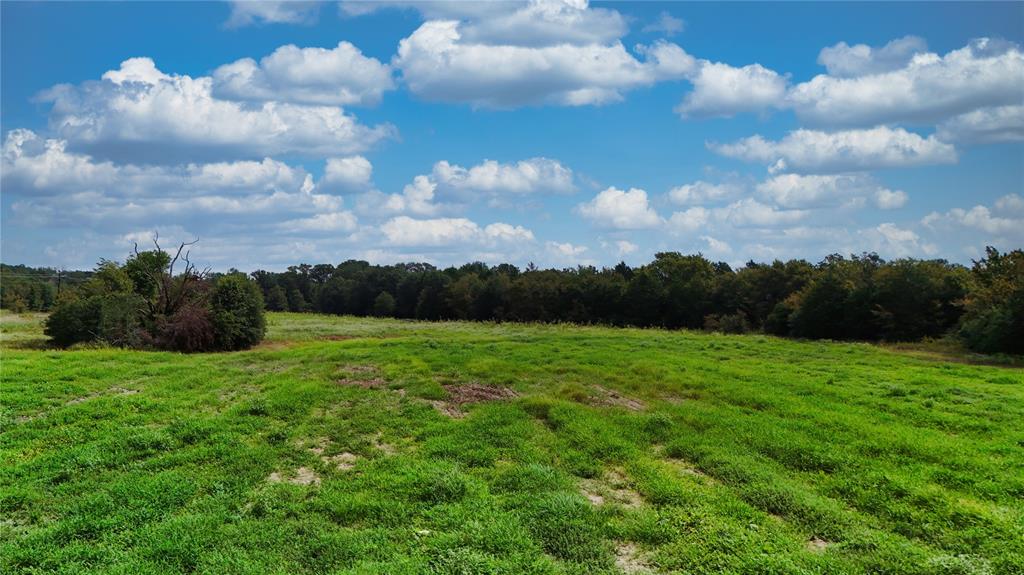0 St Highway Canton, TX 75103 - Photo 19 of 23 a view of a big yard with of trees