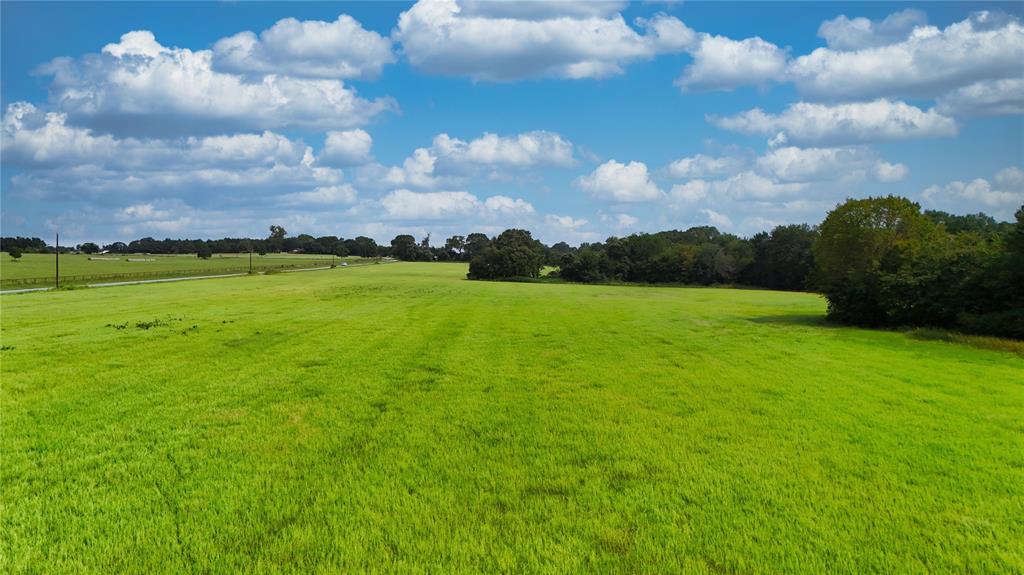 0 St Highway Canton, TX 75103 - Photo 4 of 23 a view of a big yard with lots of green space and trampoline