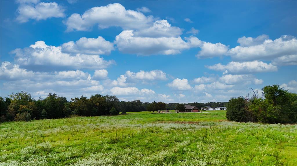 0 St Highway Canton, TX 75103 - Photo 9 of 23 a view of a big yard