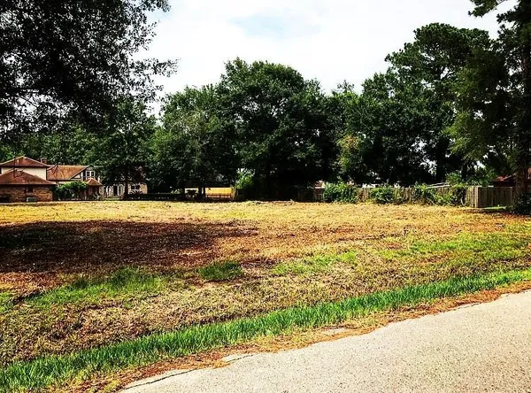 a view of a yard with trees