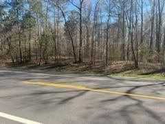 378 State Highway West Decatur, TN 37322 - Photo 5 of 9 a view of a backyard with trees
