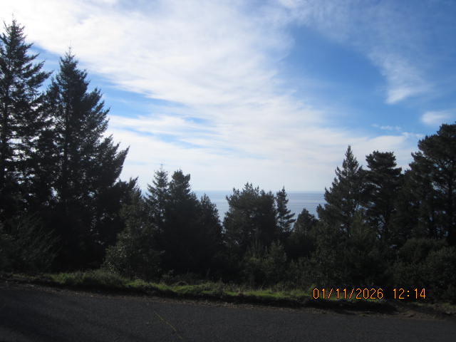 2715 Toth Road Shelter Cove, CA 95589 - Photo 16 of 27 IMG_0767