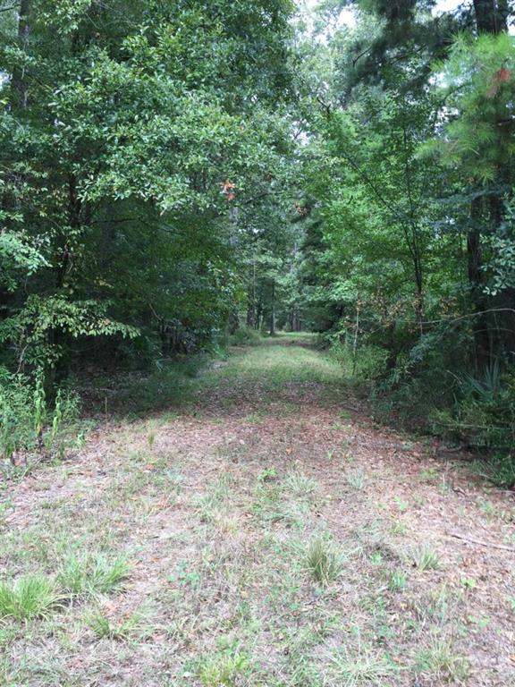 32307-32267 Lower Rome Road Springfield, LA 70462 - Photo 2 of 12