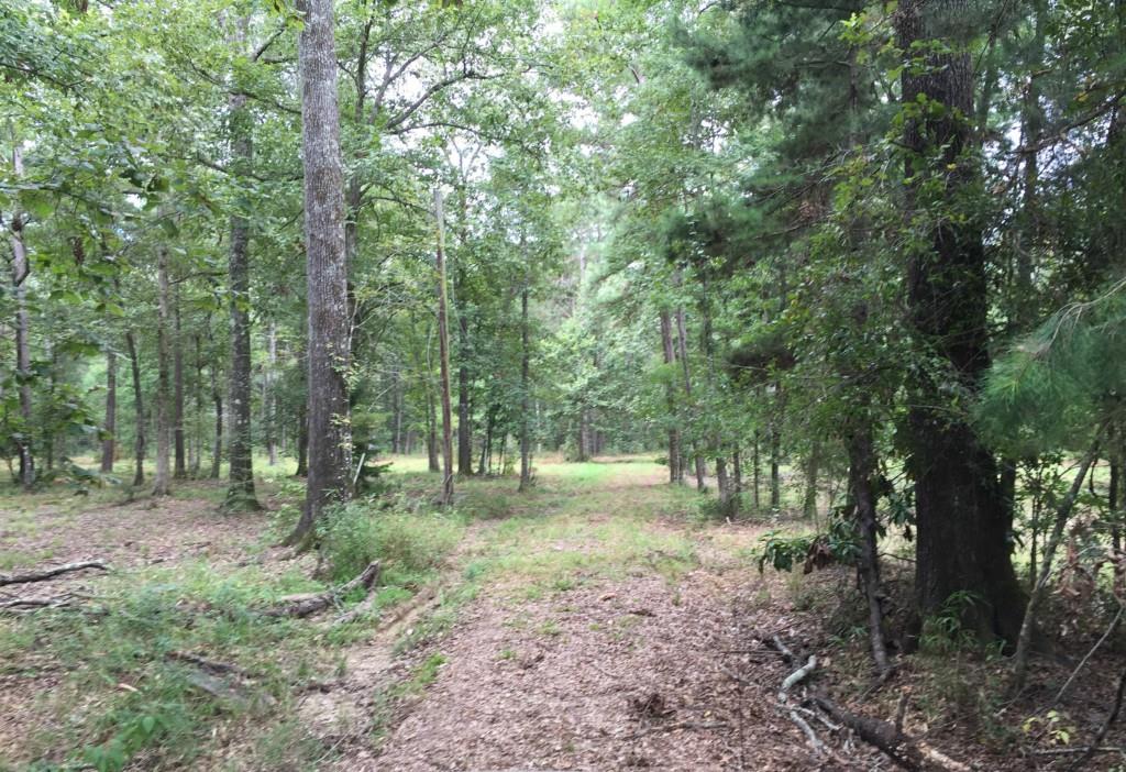 32307-32267 Lower Rome Road Springfield, LA 70462 - Photo 4 of 12