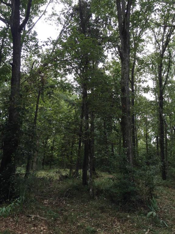 32307-32267 Lower Rome Road Springfield, LA 70462 - Photo 5 of 12