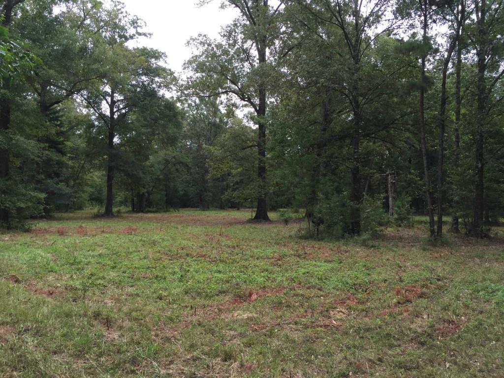 32307-32267 Lower Rome Road Springfield, LA 70462 - Photo 7 of 12