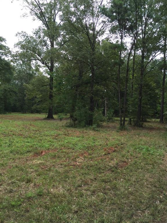 32307-32267 Lower Rome Road Springfield, LA 70462 - Photo 8 of 12