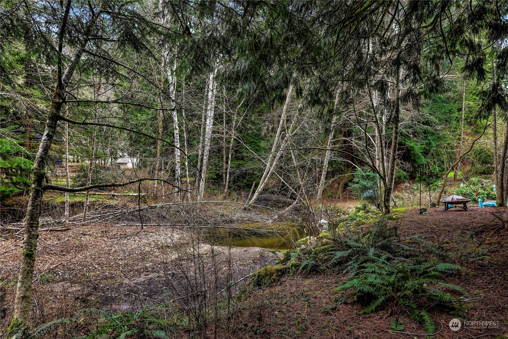 15 Cold Spring Lane Bellingham, WA 98229 - Photo 33 of 34 Gallery Image 33