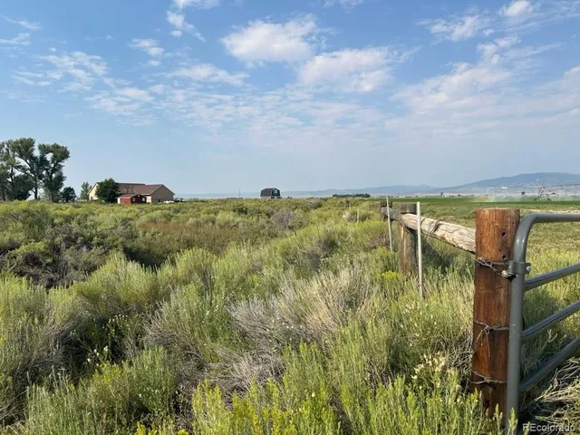 a view of a dry yard with plants and trees