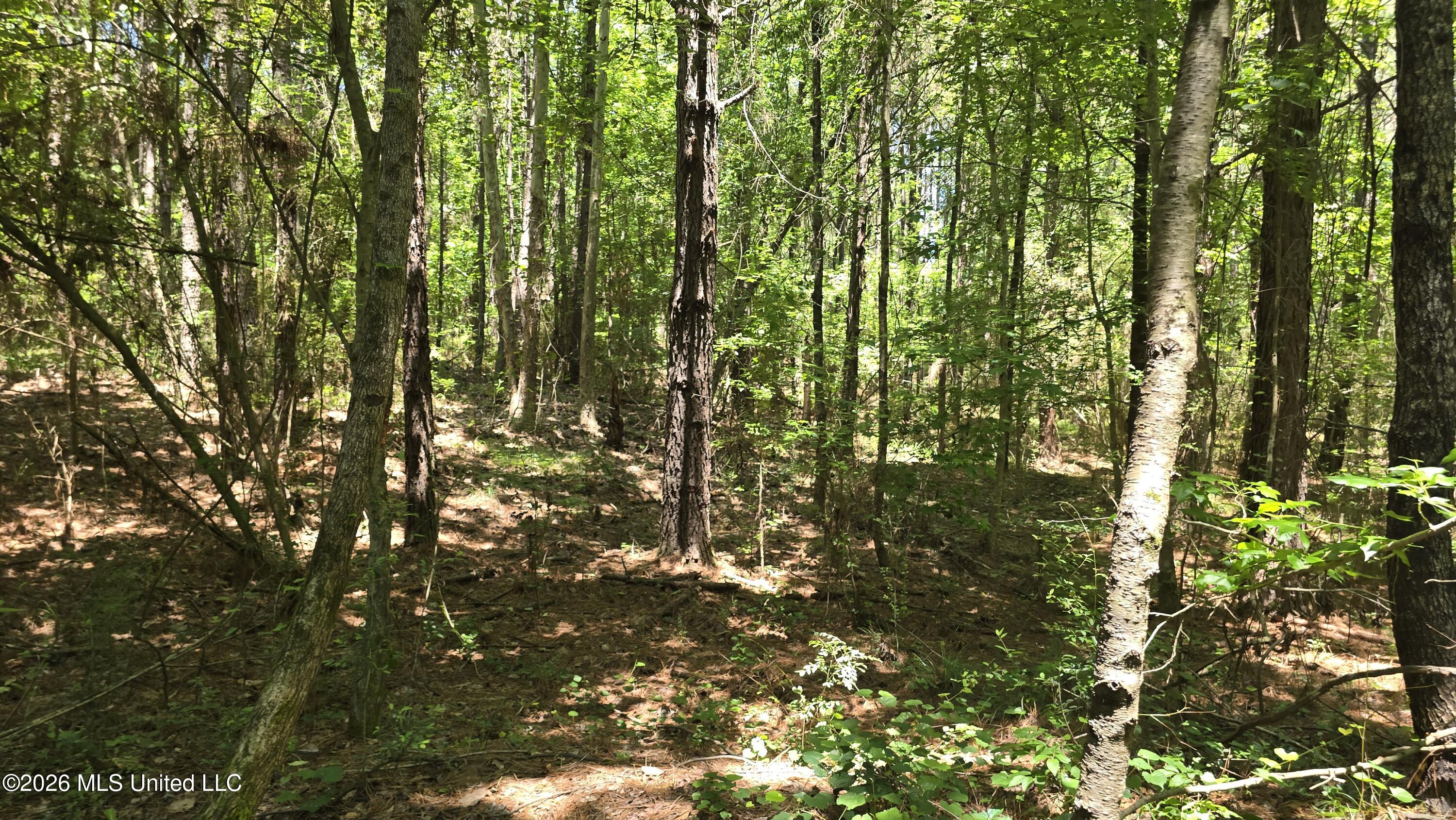 189 Co Road Bay Springs, MS 39422 - Photo 43 of 61 20260513_120949