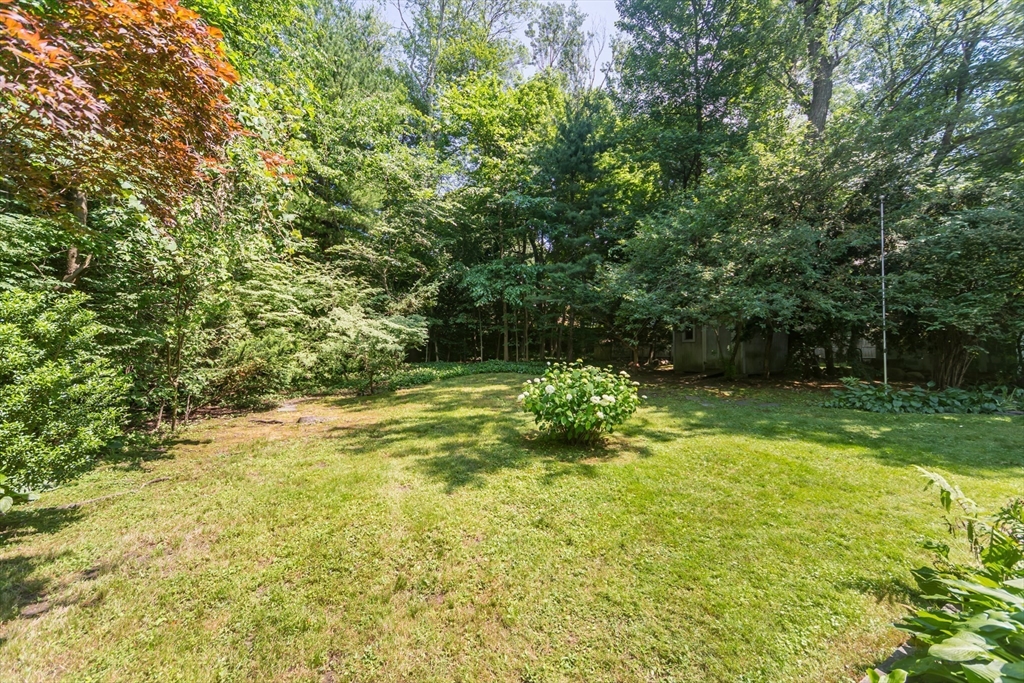 16 Surrey Lane Natick, MA 01760 - Photo 22 of 28 a view of a yard with a tree