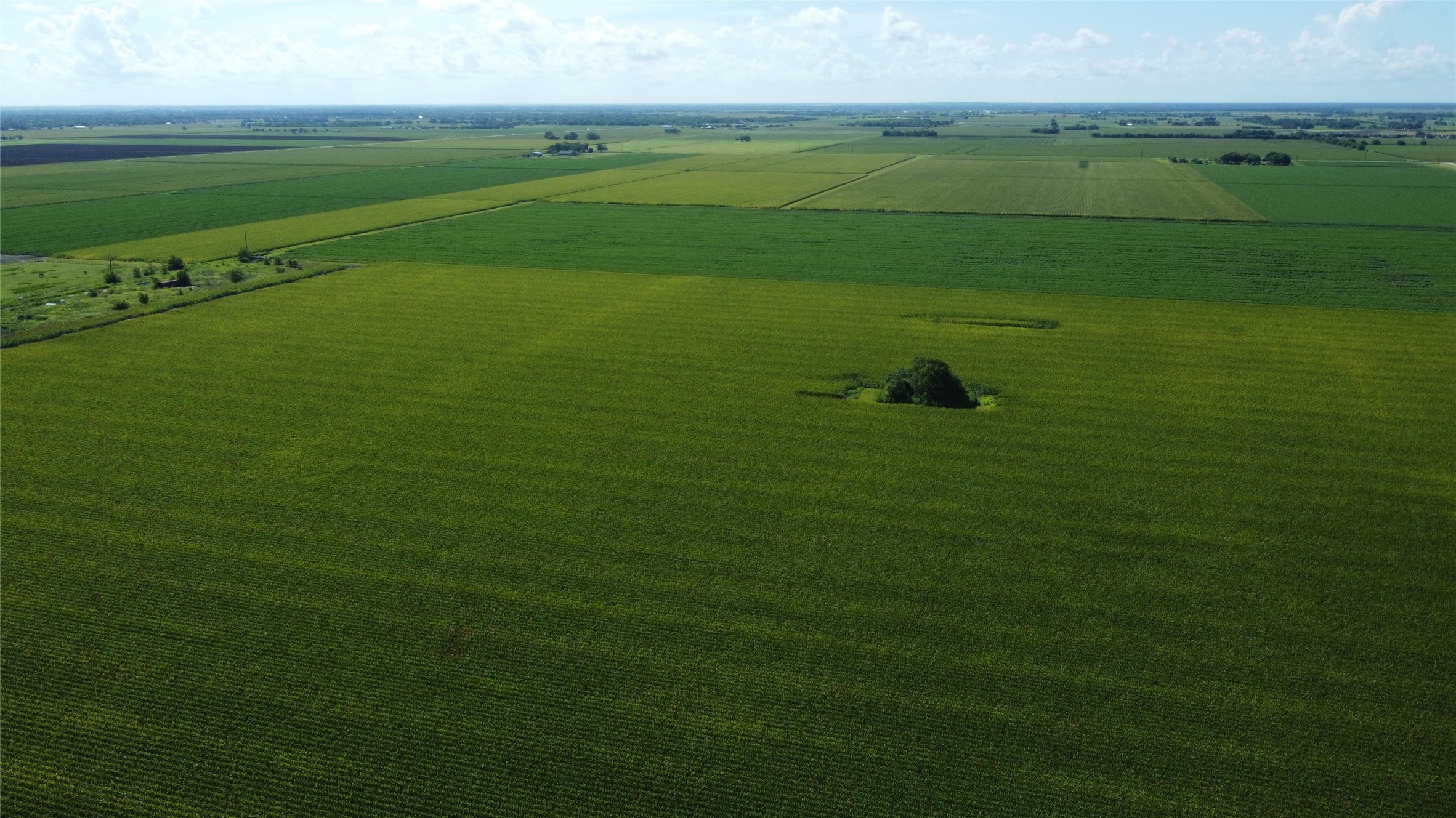 0 Williams School Road Needville, TX 77461 - Photo 3 of 8 a view of a field with an outdoor space