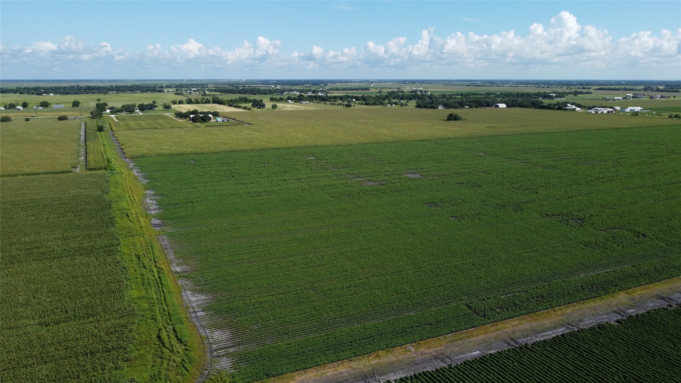 0 Williams School Road Needville, TX 77461 - Photo 5 of 8 a view of water with a lake view