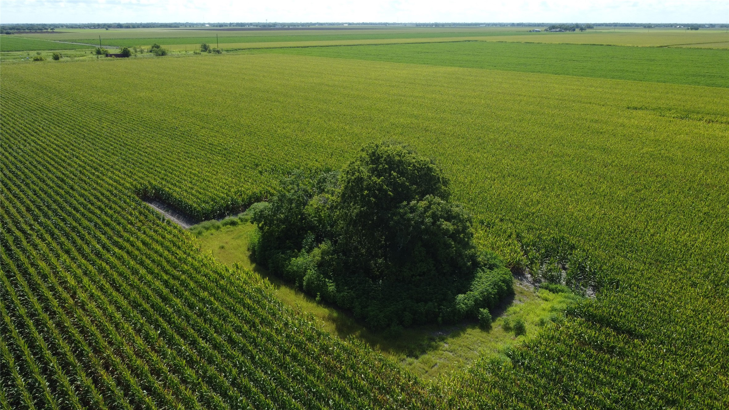 0 Williams School Road Needville, TX 77461 - Photo 8 of 8 a view of a field with an ocean view