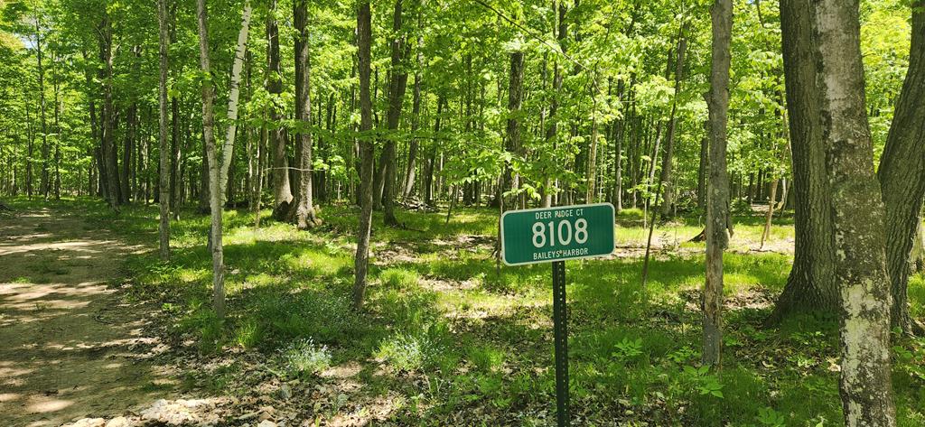 8108 Deer Ridge Baileys Harbor, WI 54202 - Photo 1 of 14
