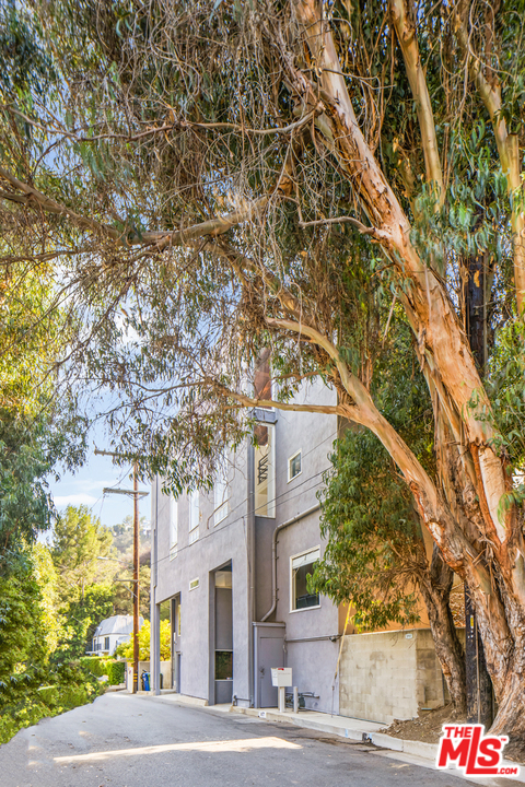 a view of street along with trees