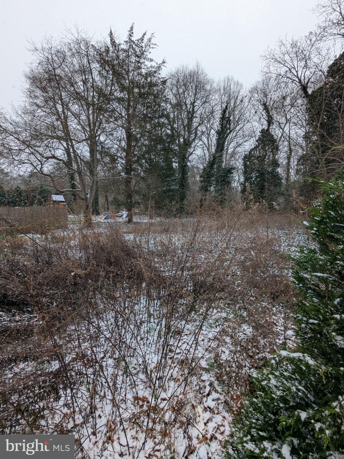 214 Jericho Road Bridgeton, NJ 08302 - Photo 5 of 11 a view of a forest with trees in the background
