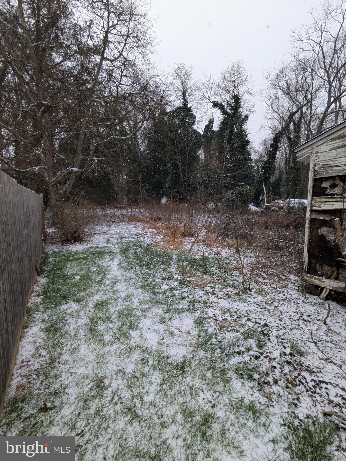 214 Jericho Road Bridgeton, NJ 08302 - Photo 9 of 11 a view of a backyard with trees