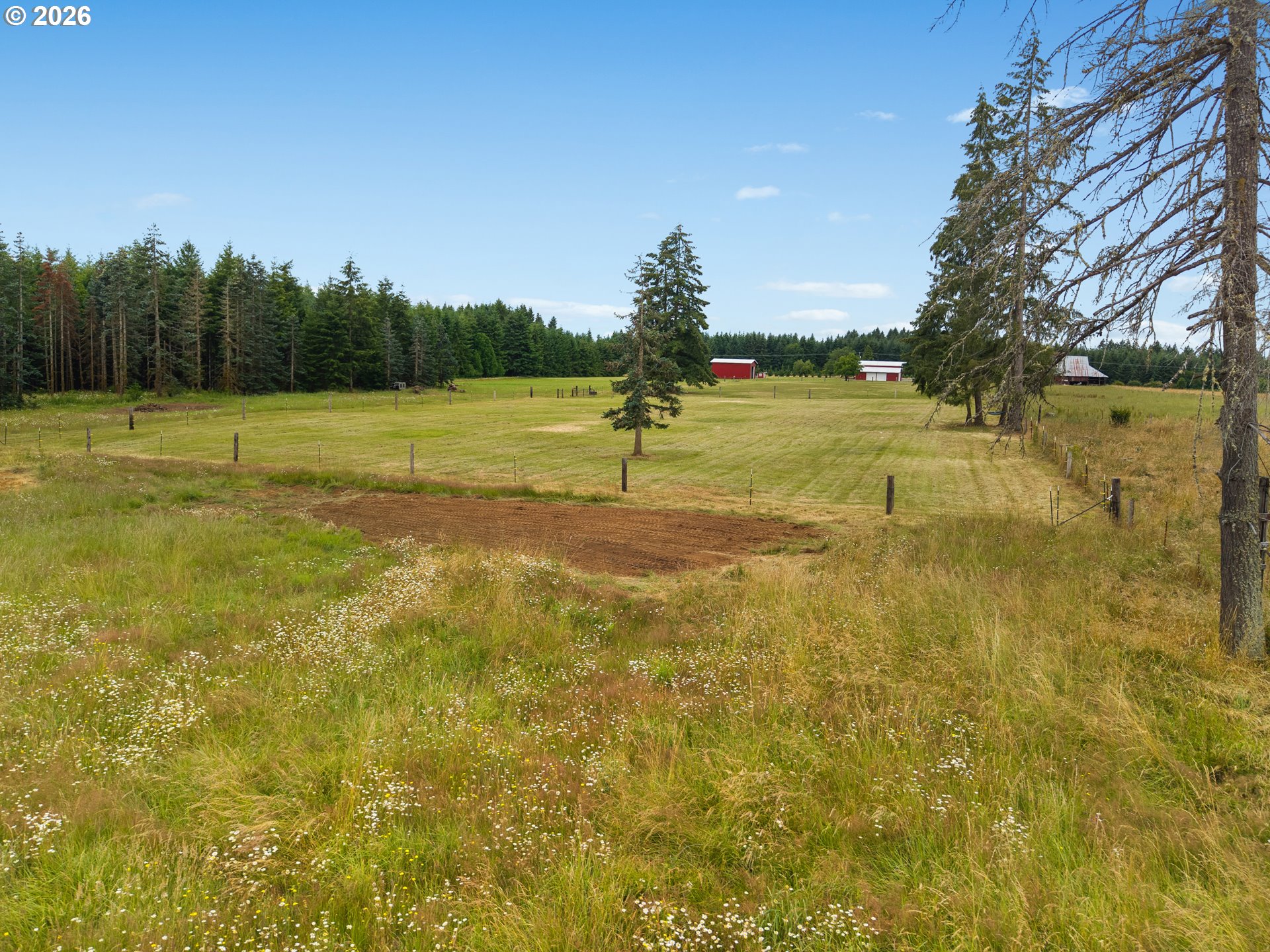 241 Minkler Road Winlock, WA 98596 - Photo 44 of 48 Pasture
