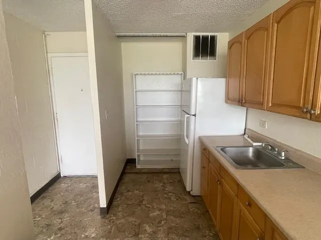 a kitchen with a refrigerator sink and cabinets