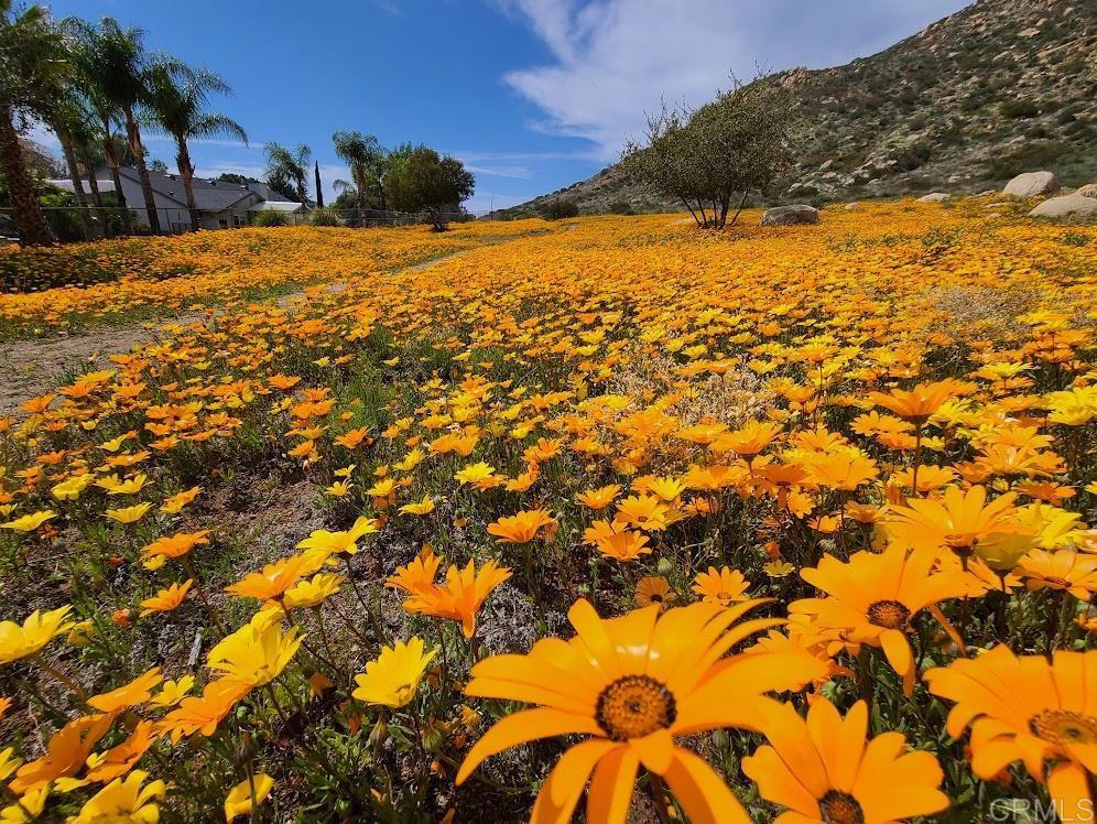 25084 Pappas Road Ramona, CA 92065 - Photo 42 of 58 a view of swimming pool with an outdoor space