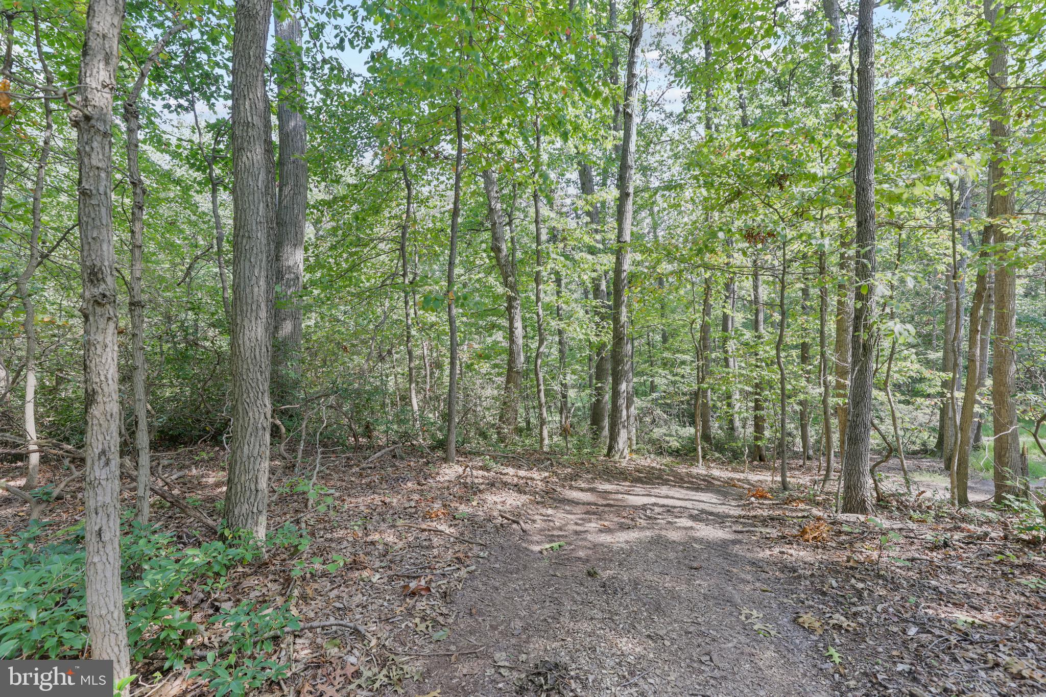15721 Yeoho Road Sparks, MD 21152 - Photo 55 of 71
