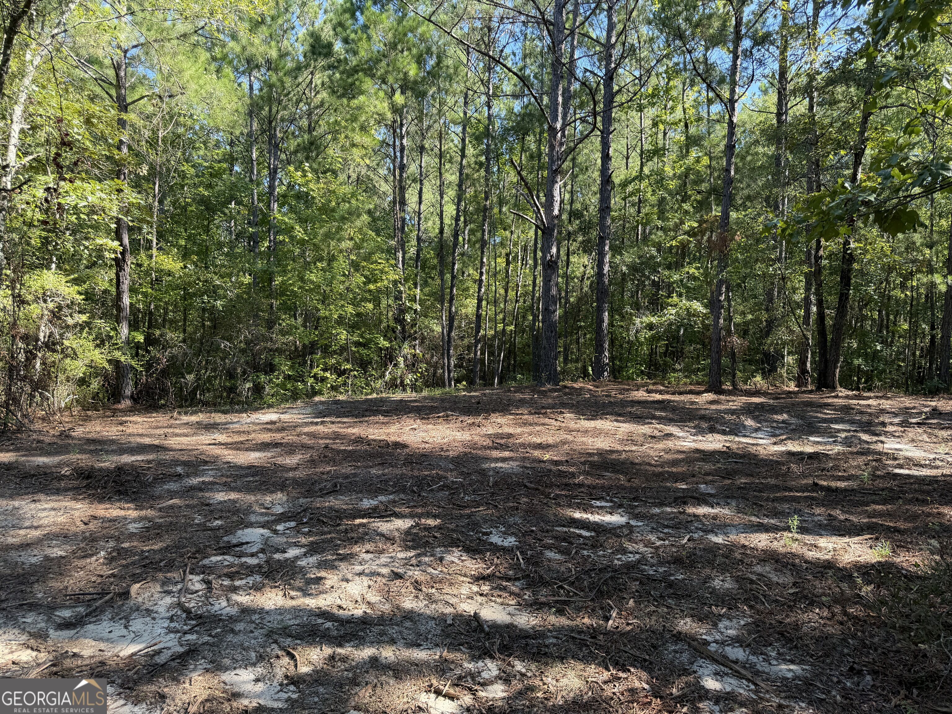 0 Pig Road Bartow, GA 30413 - Photo 34 of 44 Gallery Image 34
