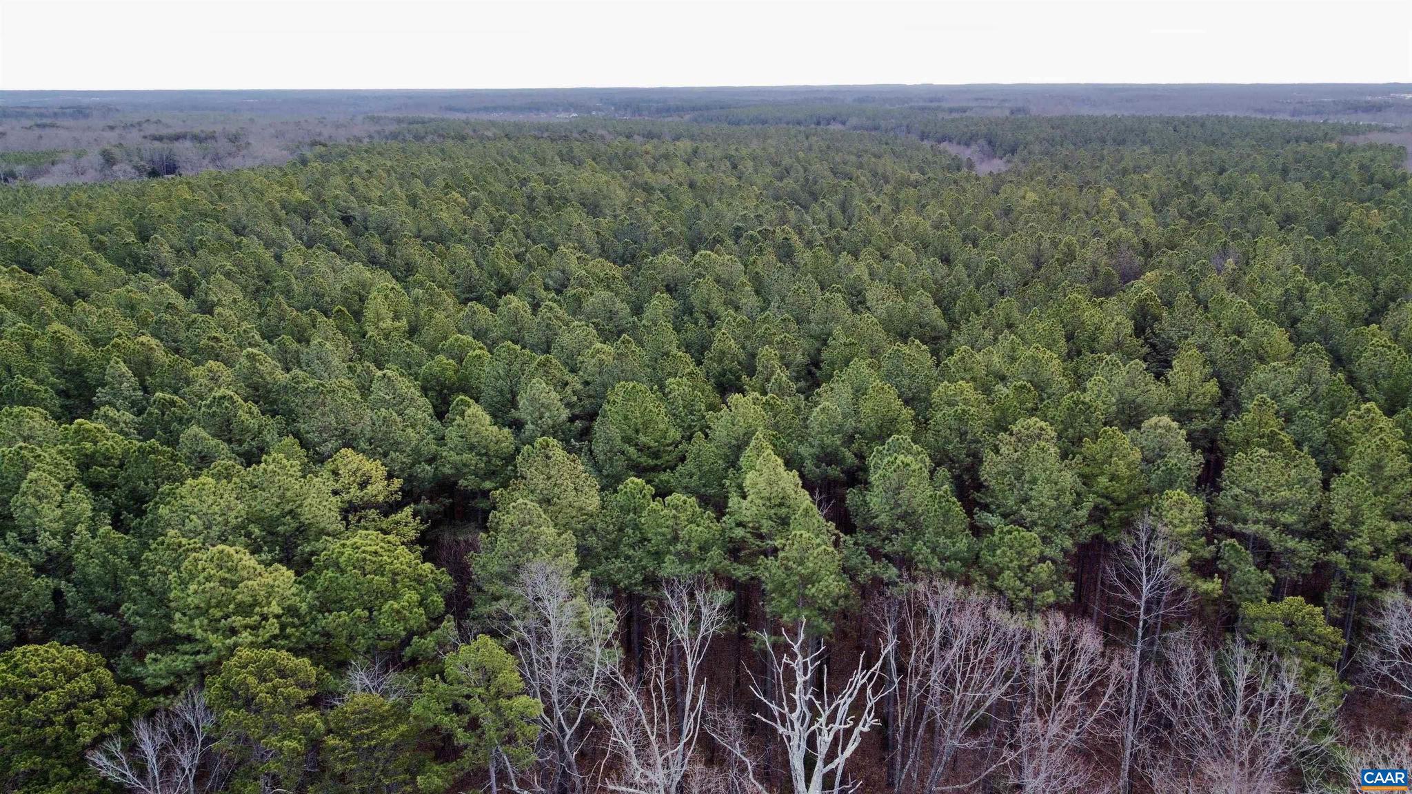 0 Green Spring Road Gordonsville, VA 22942 - Photo 11 of 20