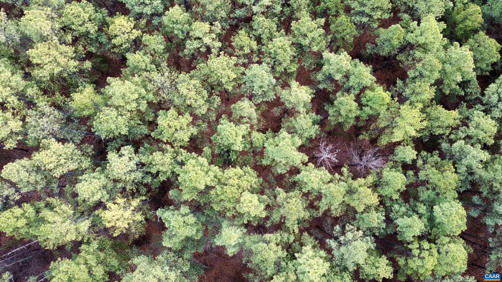 0 Green Spring Road Gordonsville, VA 22942 - Photo 12 of 20