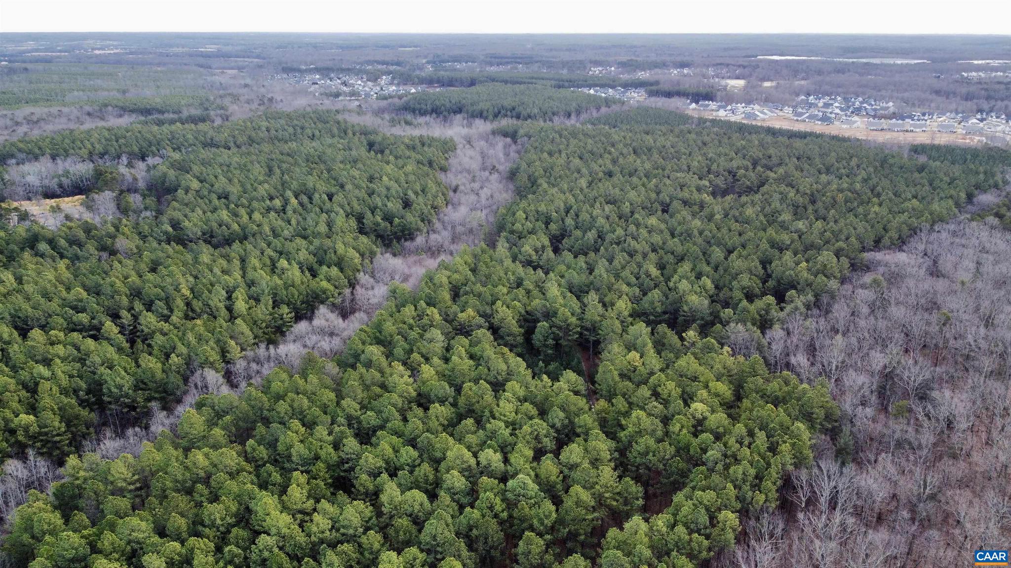0 Green Spring Road Gordonsville, VA 22942 - Photo 13 of 20