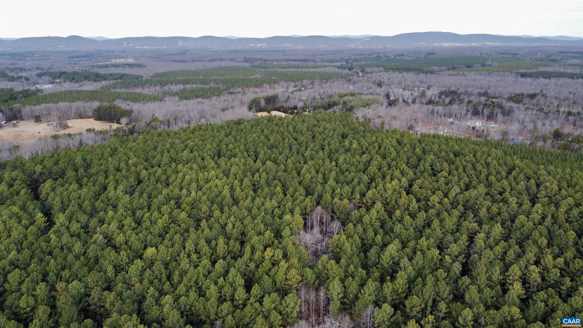 0 Green Spring Road Gordonsville, VA 22942 - Photo 14 of 20